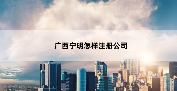 南宁市崇明注册公司的流程(广西宁明怎样注册公司)